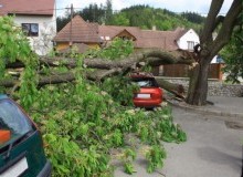 Kwikfynd Tree Cutting Services
anniebrook